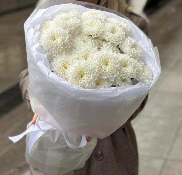 5 хризантем Алтай 087