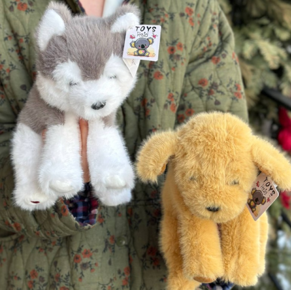 Уютные спутники