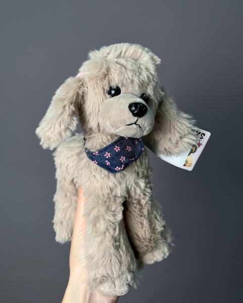 Пудель бежевый