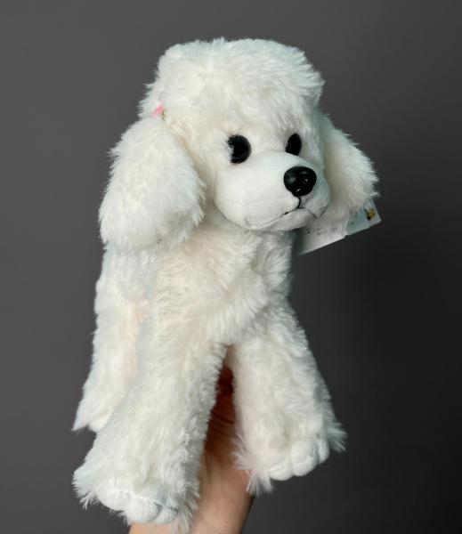 Пудель белый