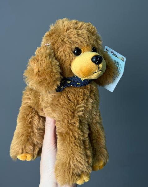 Пудель коричневый