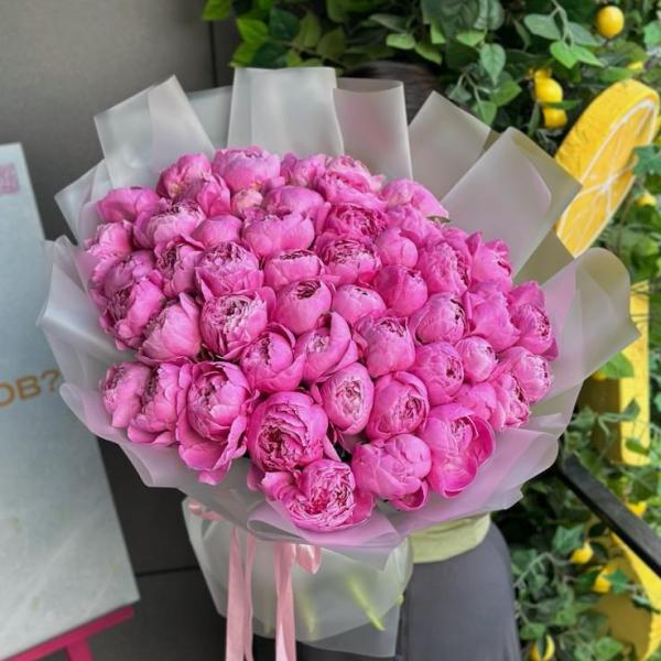 51 пион ярко розовый 