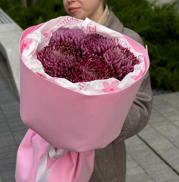 Хризантемы одноголовые 124