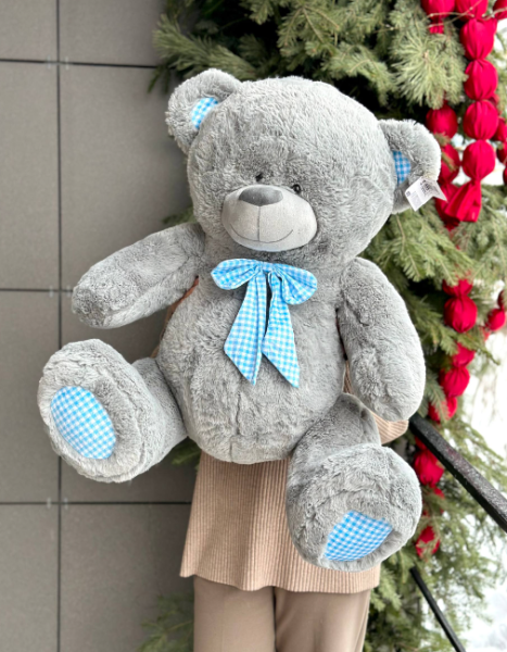 Мишка серый