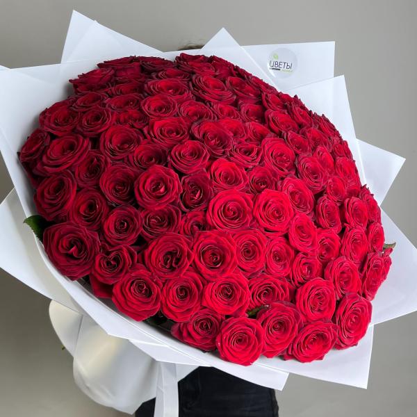 101 красная роза 090