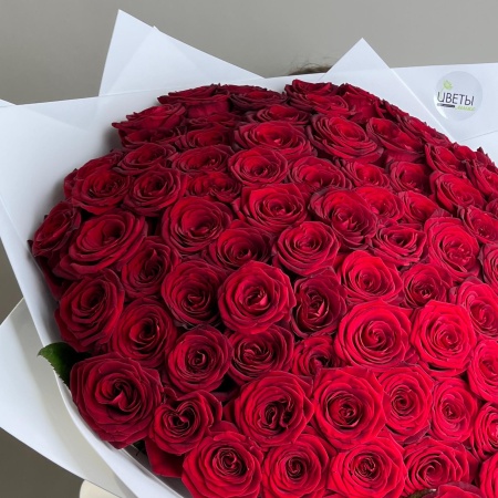 101 красная роза 090
