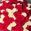 101 Роза Микс 164