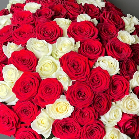 101 Роза Микс 164