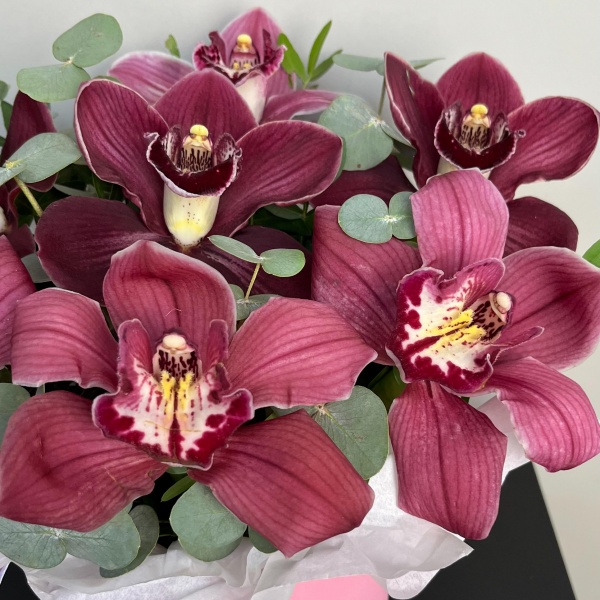 Орхидеи с эвкалиптом в шляпке
