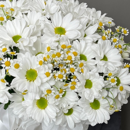 Шляпка с ромашками 142