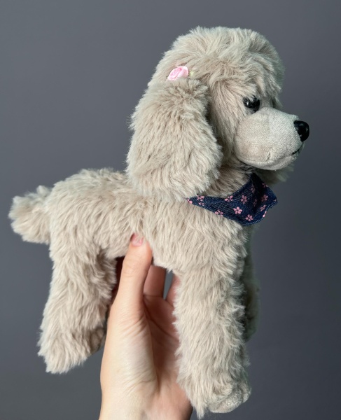 Пудель бежевый