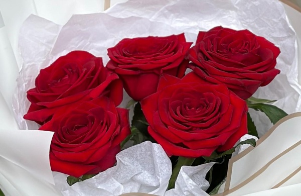 5 красных местных роз 051