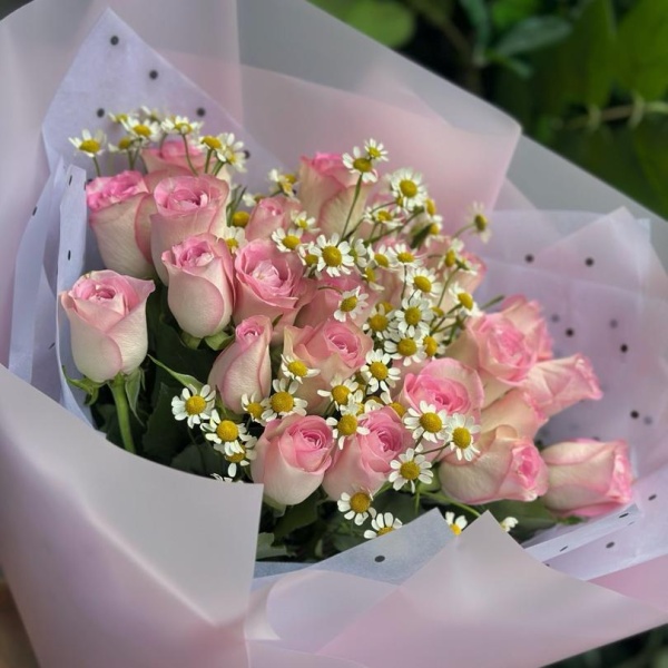 25 кения с камиллой в упаковке 