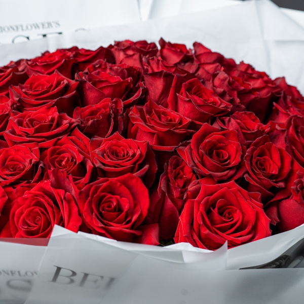 51 красная роза в белом оформлении 091