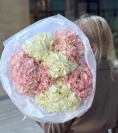 Букет моно из 7 гортензий 220