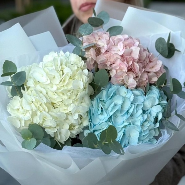 Букет гортензия и эвкалипт 213