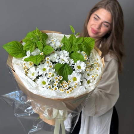 Камилла хризантема ромашка
