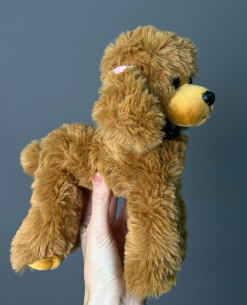 Пудель коричневый