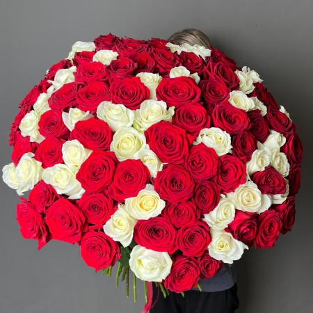 101 Роза Микс 164