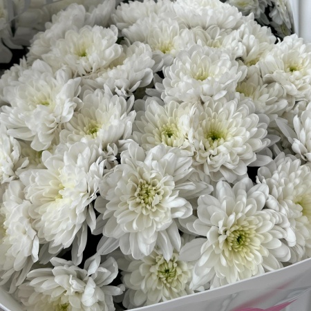 Хризантемы "I love you" 078